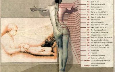 Résumé : le langage émotionnel du corps de Roger Fiammetti