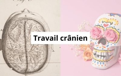 Travail crânien : son importance pour le thérapeute manuel